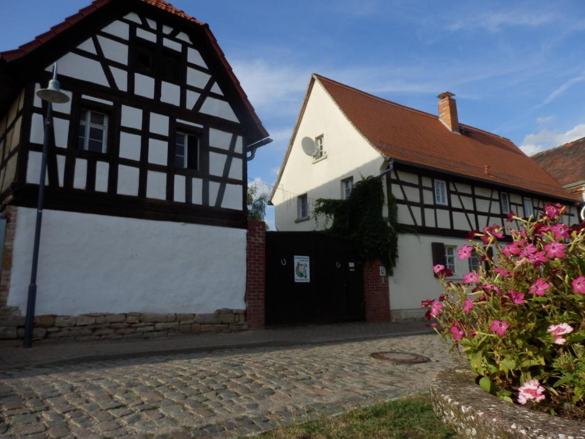 Ferienhof Gruene Kuh Elsteraue Exterior foto