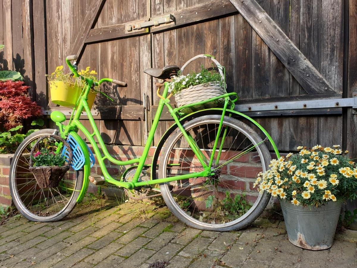 Ferienhof Gruene Kuh Elsteraue Exterior foto