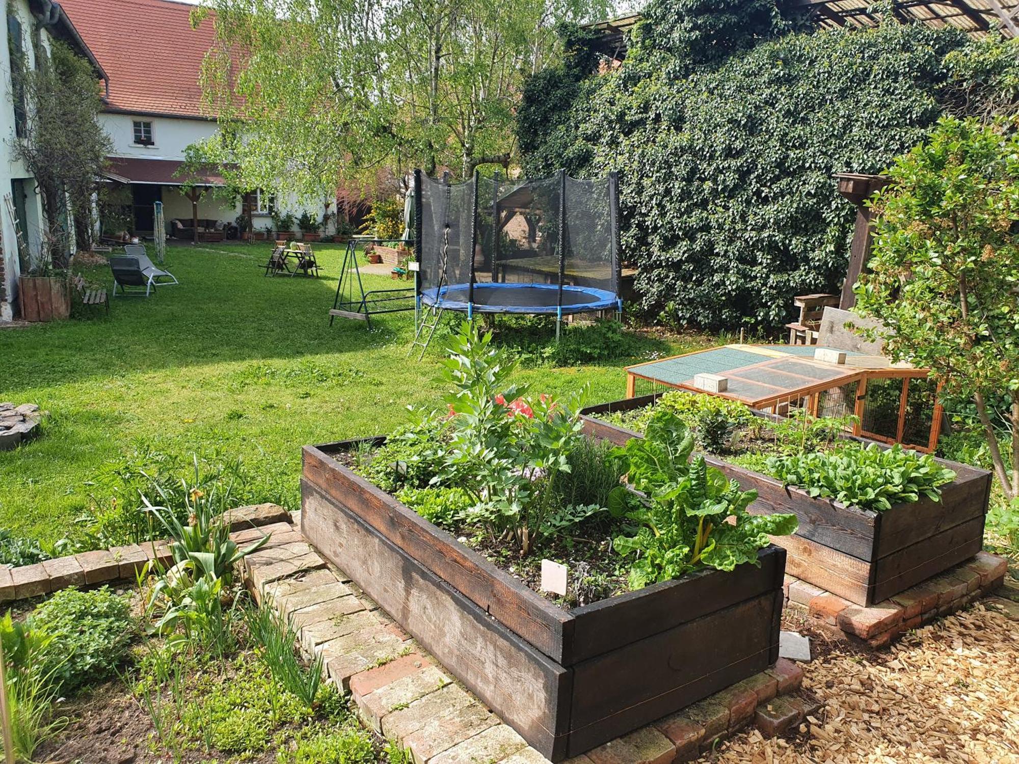 Ferienhof Gruene Kuh Elsteraue Exterior foto