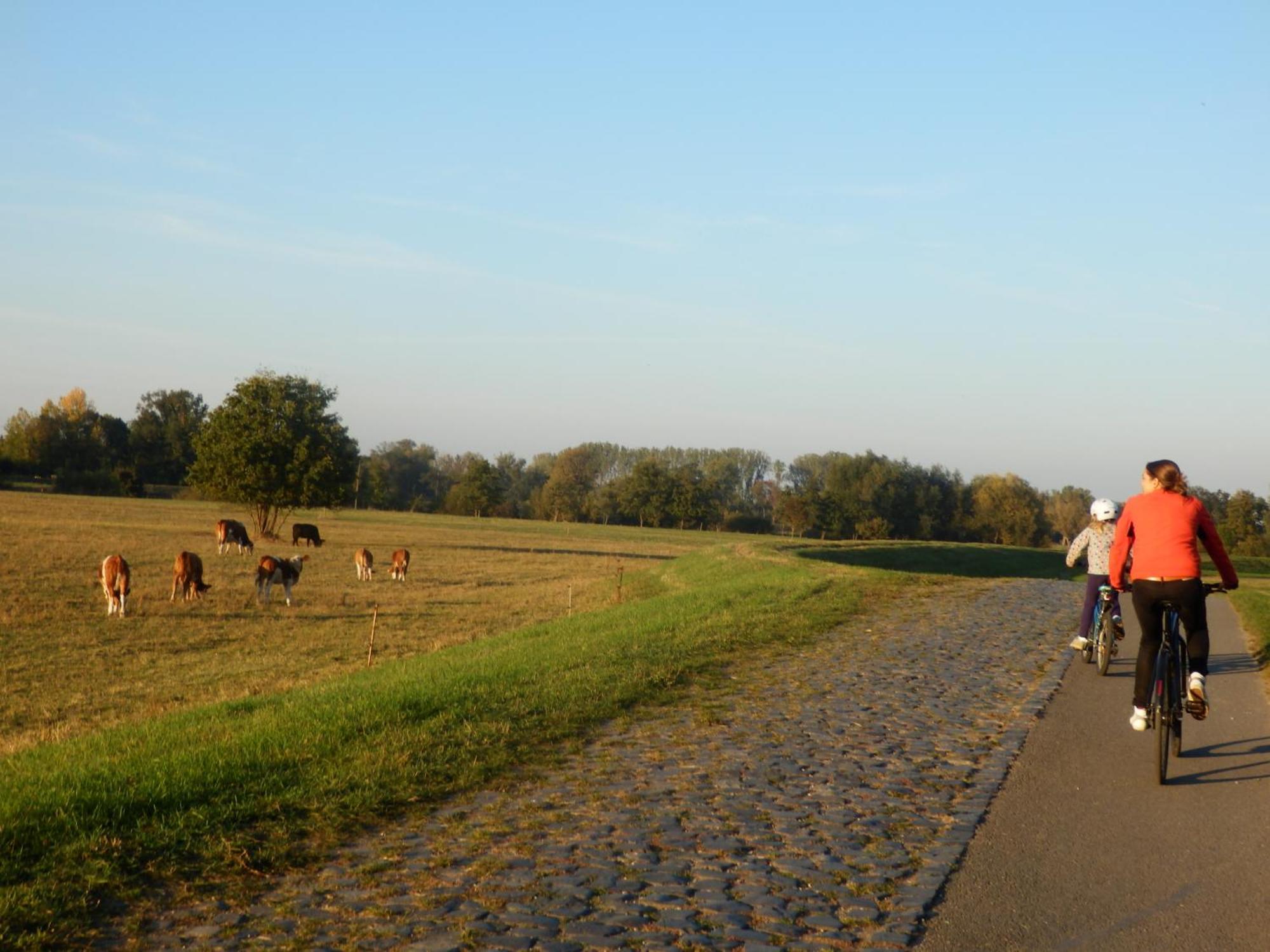 Ferienhof Gruene Kuh Elsteraue Exterior foto